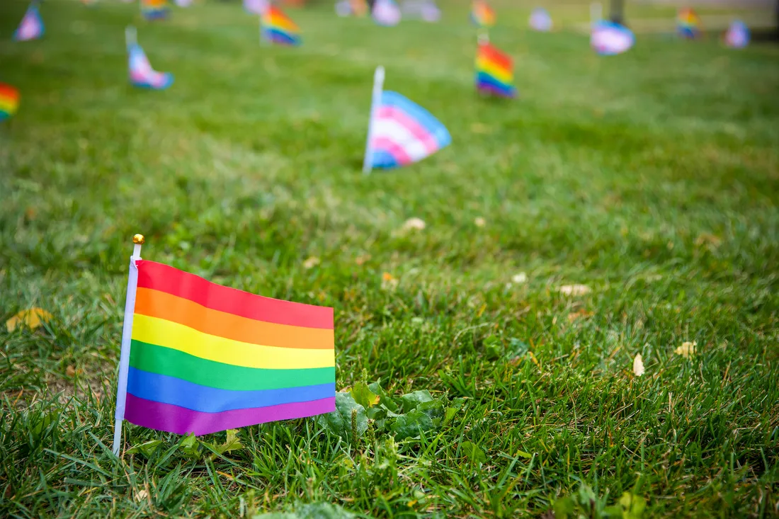 Pride flag flying on campus.