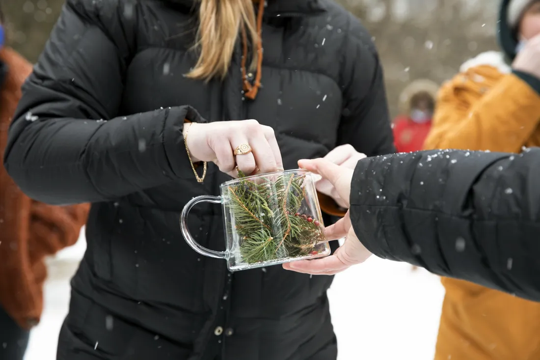 Person holding glass mug and filling it with pine needles.