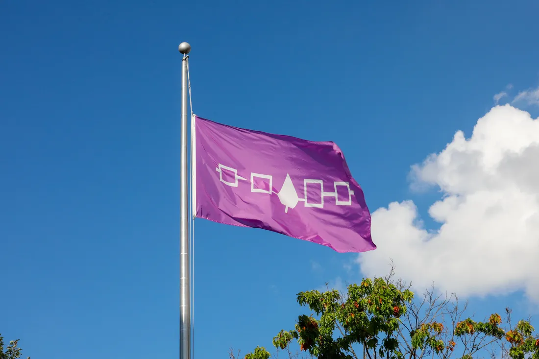 Haudenosaunee flag.