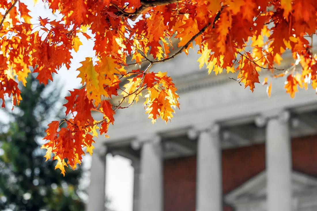 Orange leaves on campus.