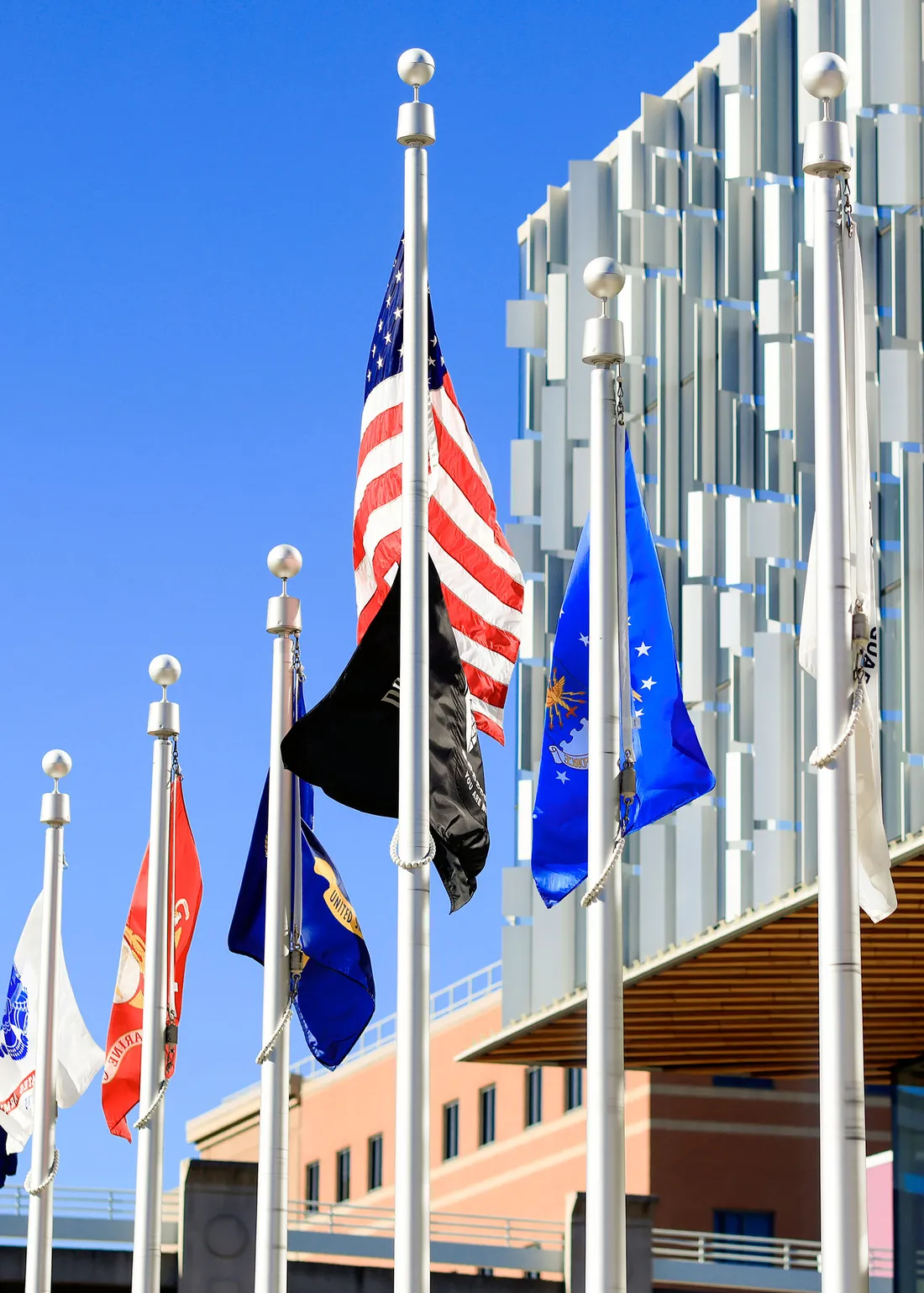 Flags flying outside the IVMF building.
