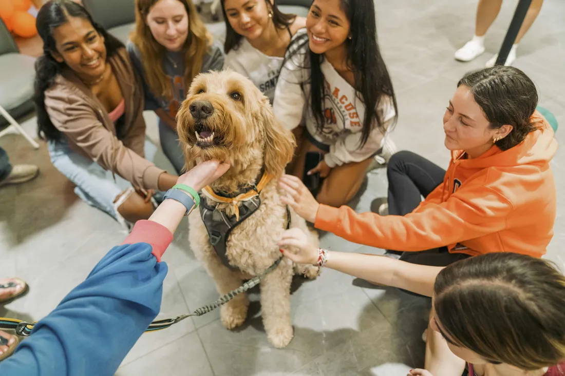 Students petting a dog during pet therapy.