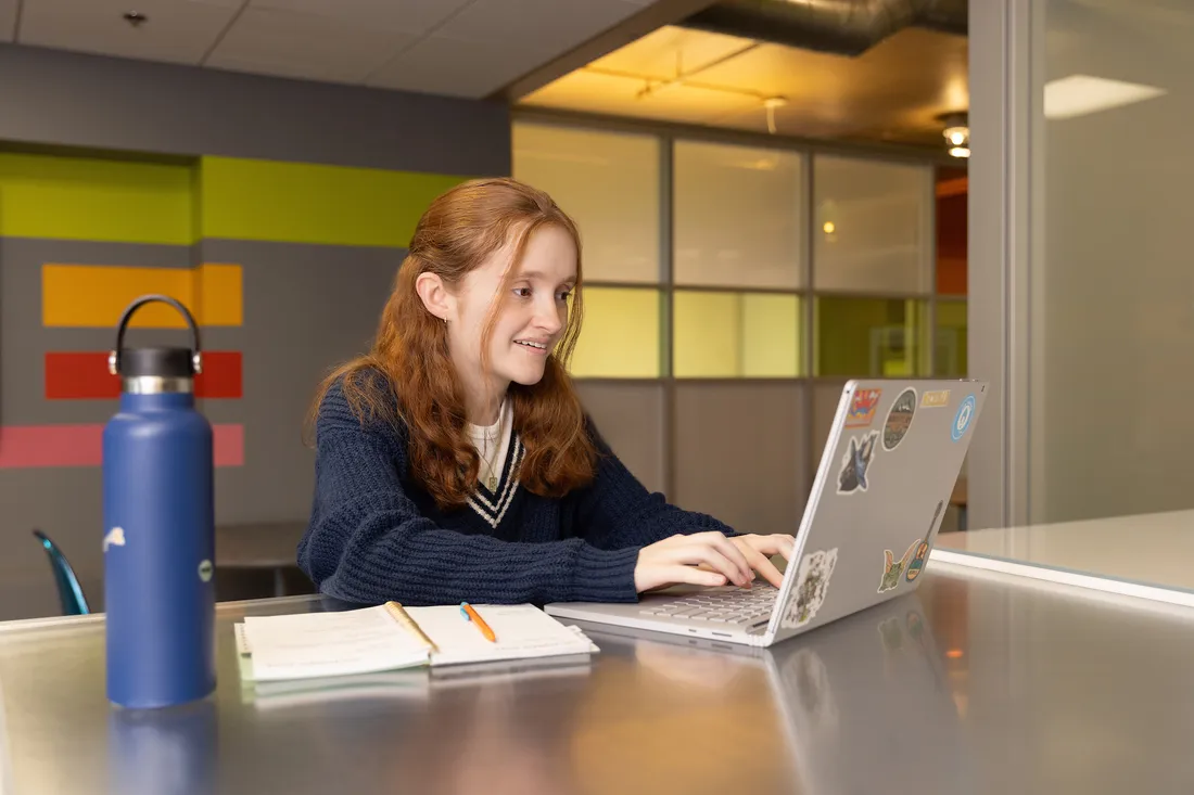 Person sitting on a computer.